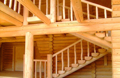 Выбор древесины для строительства