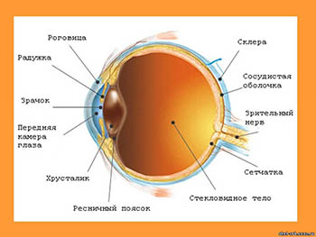 Лечение глаз и восстановление зрения в Израиле, dota